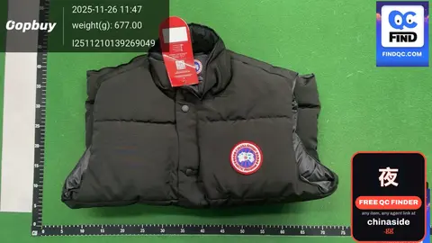 Big Goose Vest