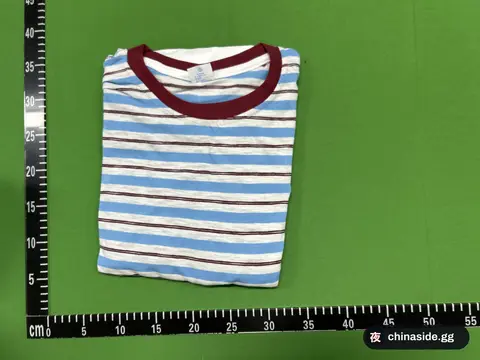 Embroidered Striped Long-Sleeve Top