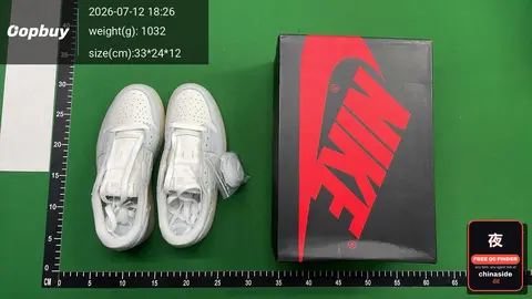 Vintage Low-Top Basketball Shoes