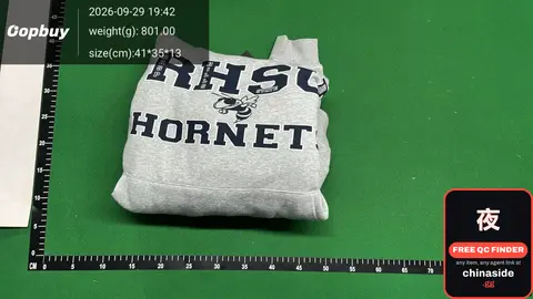 GV Wasp Hoodie