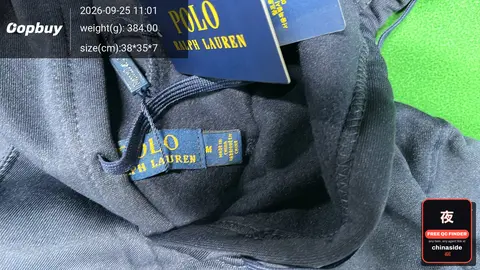 Polo Bear Hooded Sweatshirt