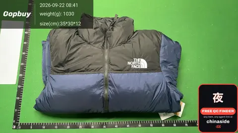 North Face 1996 Down Jacket
