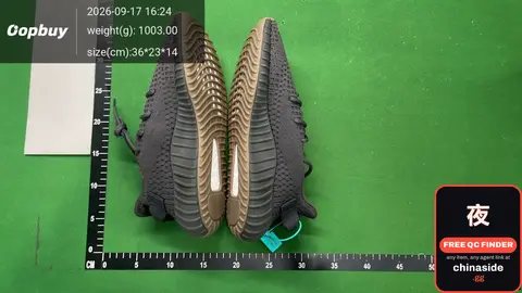 Yeezy Boost 350 V2 Shoes