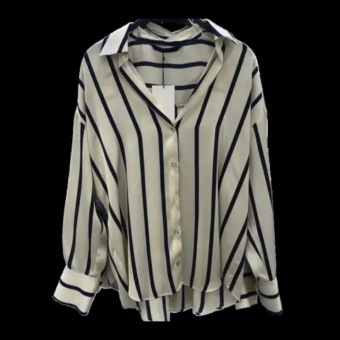 Zara Shirt