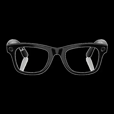 Ray-Ban Meta Wayfarer