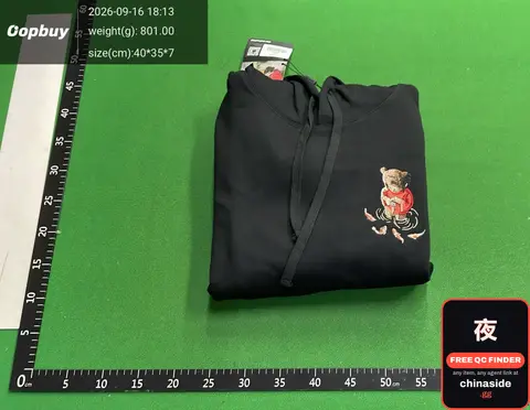 DS Fish and Little People Hoodie