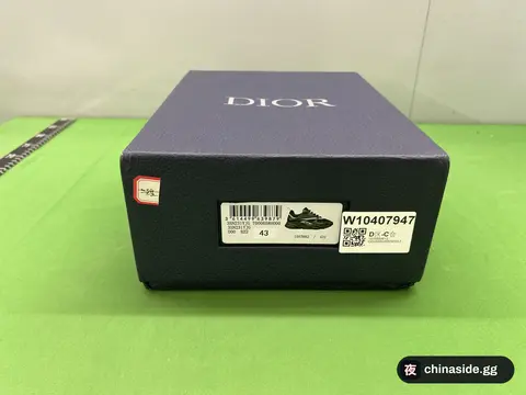 Dior Sneakers