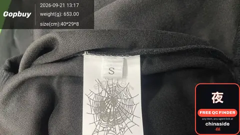 Spiderweb Hoodie