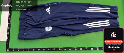 Adidas Training Pants