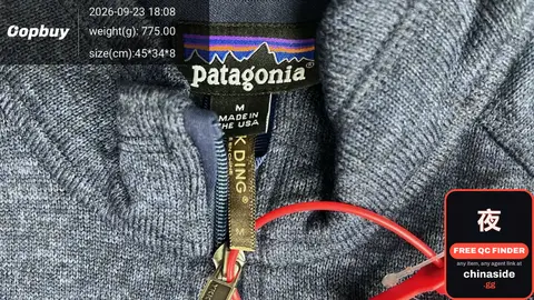 Patagonia King Zip Hoodie
