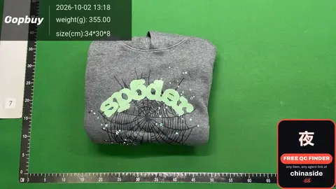 Spider Graphic Sweatshirt
