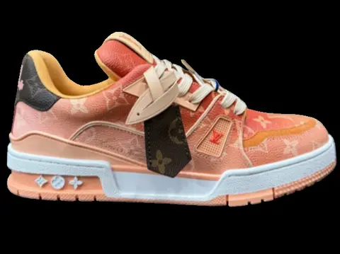 Louis Vuitton Trainer [New color scheme for Velcro]