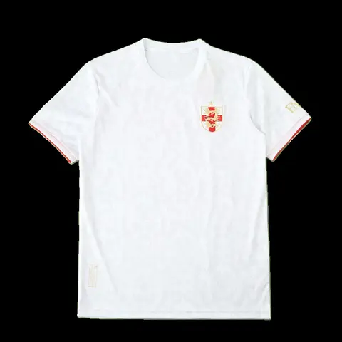 2425 season England Concept version Fan version