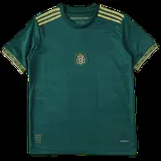 2526 season Mexico Concept version Fan version