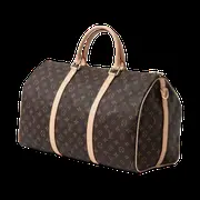 Louis Vuitton Duffle Bag