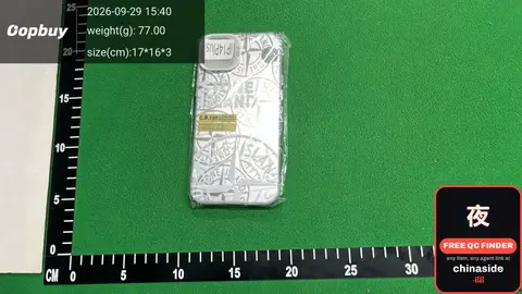 Silver Phone Case