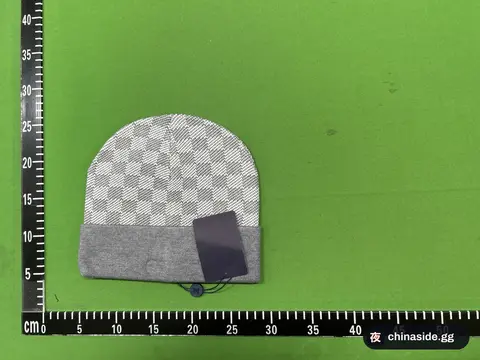 Women's Korean-Style V Letter Wool Hat