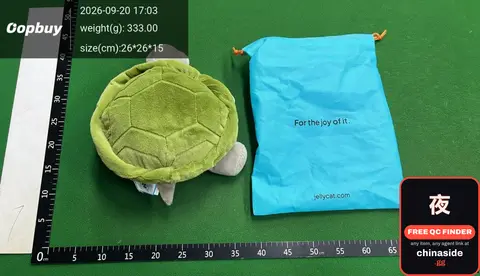 Plush Turtle Toy