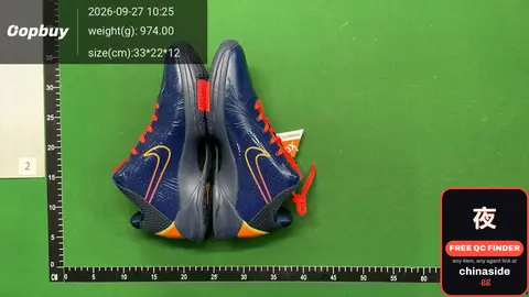 Nike Basketball Shoes