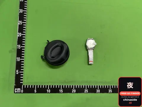 Luminous Steel Movement Watch