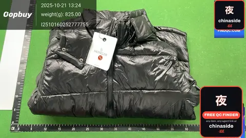 Down Cotton-Padded Jacket