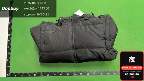 Down Jacket With Detachable Sleeves