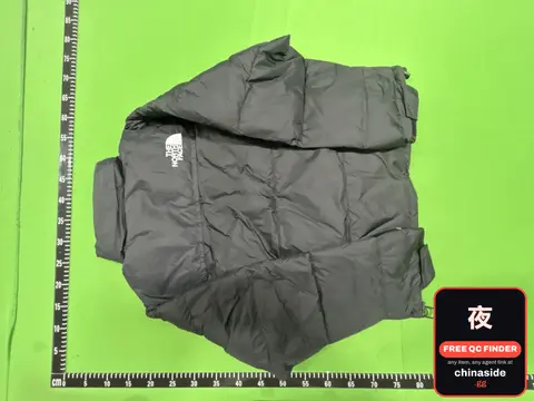 The North Face 1996 Down Jacket