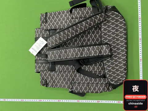 Goyard Backpack