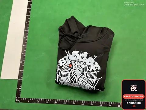 Spider Hoodie