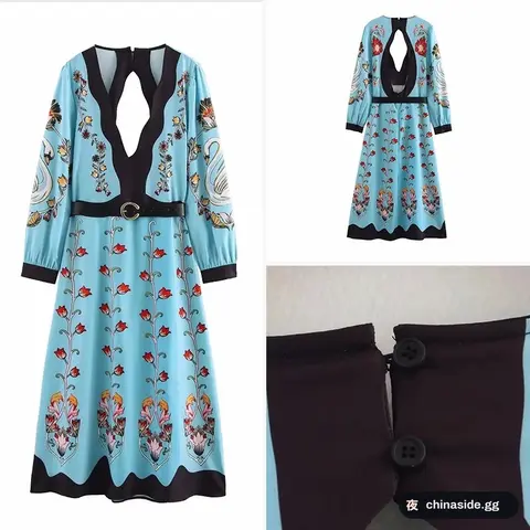 Zara Dress