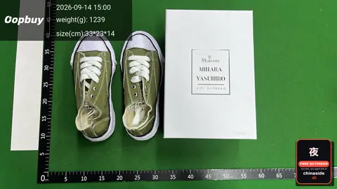 Link1 Dissolving Shoes