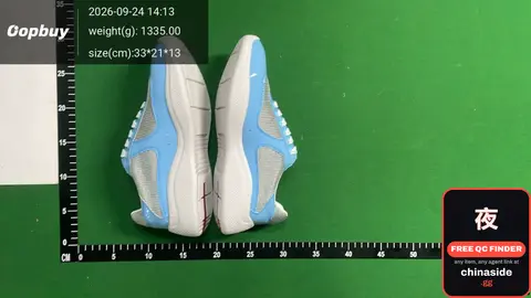 Nike Air Max Sneakers