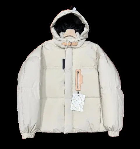 Louis Vuitton Down Jacket 2+ colorways