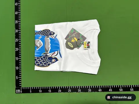 Printed Short Sleeve T-Shirt