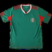2010 season Mexico home Fan version