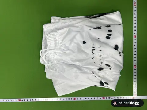 Mesh Quick-Dry Sports Shorts