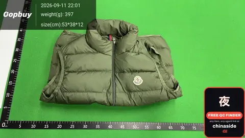 Vest