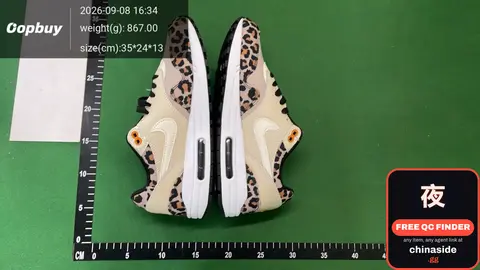 Nike Air Max Sneakers