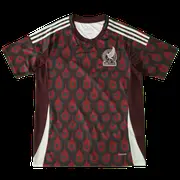 2024 season Mexico home Fan version