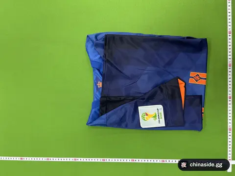 Netherlands Retro 2014 Jersey