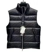 Dior Vest 3+ colorways