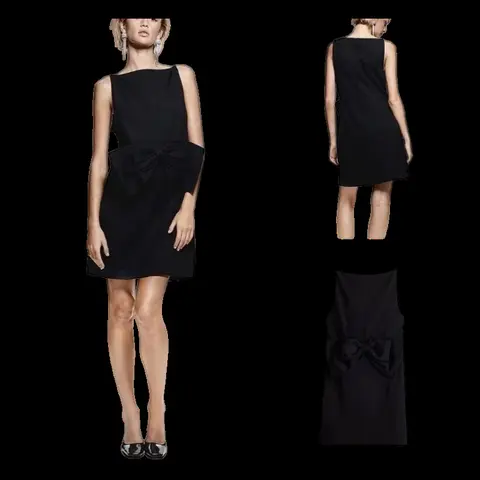 Zara Dress