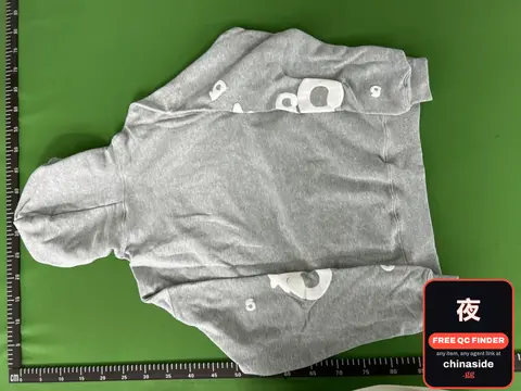 Spider Logo Hoodie