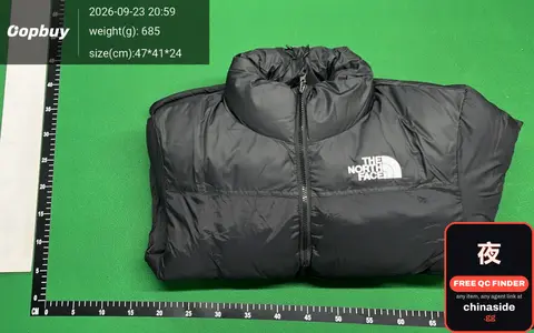 Embroidered Padded Jacket