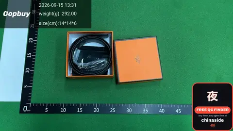 Hermes Belt