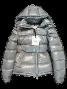 Moncler Down Jacket - Silver Glossy Hooded