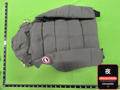 Cotton-Padded Jacket with Hood