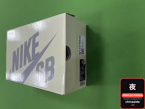 Nike SB Shoes