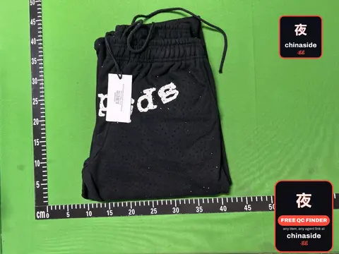 Pride Mesh Shorts