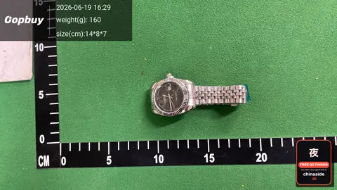 Stainless Steel Quartz Watch